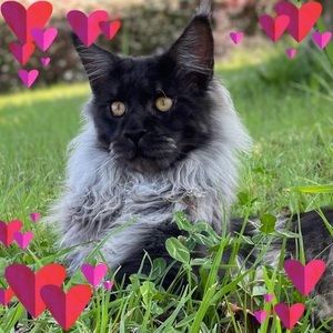 Meet your Posher, Liz